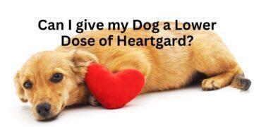 Can I give my Dog a Lower Dose of Heartgard?