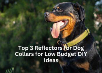 Top 3 Reflectors for Dog Collars for Low Budget DIY Ideas