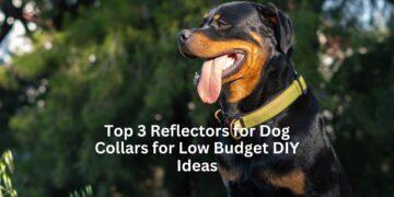 Top 3 Reflectors for Dog Collars for Low Budget DIY Ideas