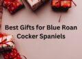 Best Gifts for Blue Roan Cocker Spaniels