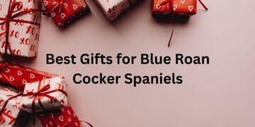 Best Gifts for Blue Roan Cocker Spaniels
