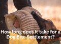 Usually reaching the final verdict of a Dog Bite Settlement can range between a few days to months and even years. There are a number of factors that play a major role in deciding the time which we will be covering later in this blog. So to know more keep on reading.