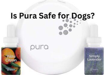 Is Pura Safe for Dogs?