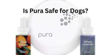 Is Pura Safe for Dogs?