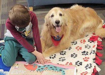 Following Dog's Passing, Owner Receives Little Accolades Dedicated to Reading Dog