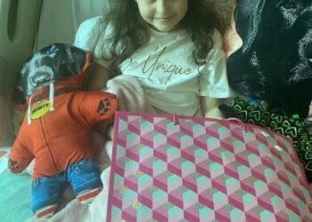 'Hero' Family Dog Saves Daughter's Life after Father