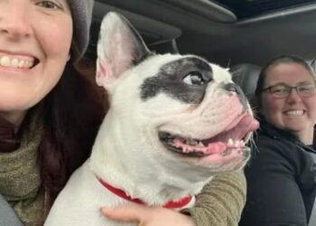 Fourth Time becomes the Charm for 'Demon Dog' of Niagara