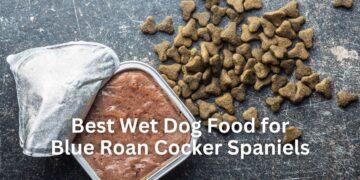 Best Wet Dog Food for Blue Roan Spaniels