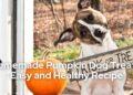 Homemade Pumpkin Dog Treats Easy and Healthy Recipe