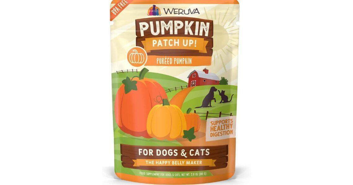 Top 5 Best Pumpkin Dog Food Brands In 2023