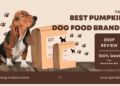 best Pumpkin dog food