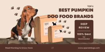 best Pumpkin dog food