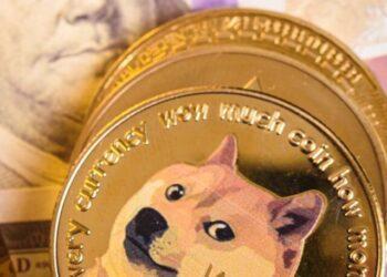 Elon Musk Replaces Twitter Logo with a Dog Icon