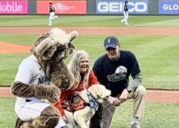Hero Dog 'Keb' Honored During Seattle Mariners Game