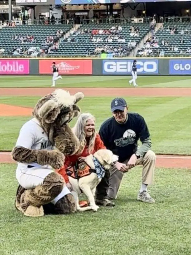 Hero Dog ‘Keb’ Honored During Seattle Mariners Game