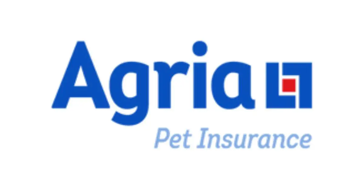Best Dog Insurance Options for Blue Roans 2023 [UK]