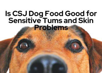 Is CSJ Dog Food Good for Sensitive Tums and Skin Problems