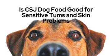 Is CSJ Dog Food Good for Sensitive Tums and Skin Problems