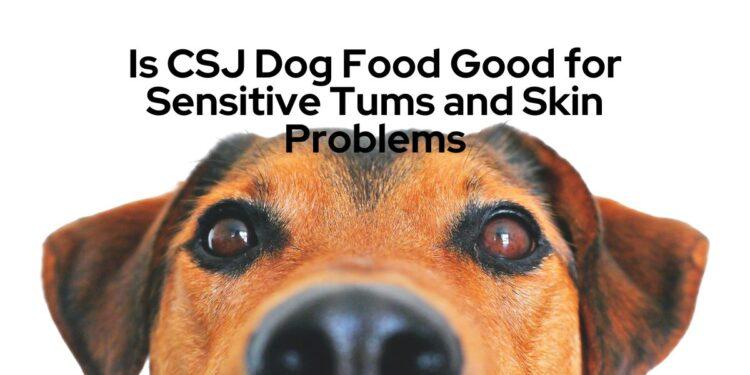 Is CSJ Dog Food Good for Sensitive Tums and Skin Problems